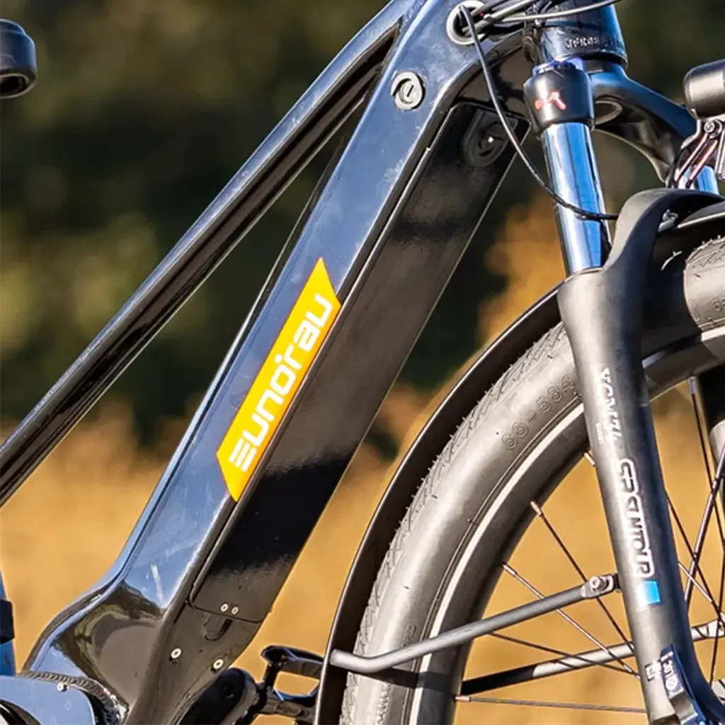 Eunorau META275 500W 48V Cruiser Electric Bike