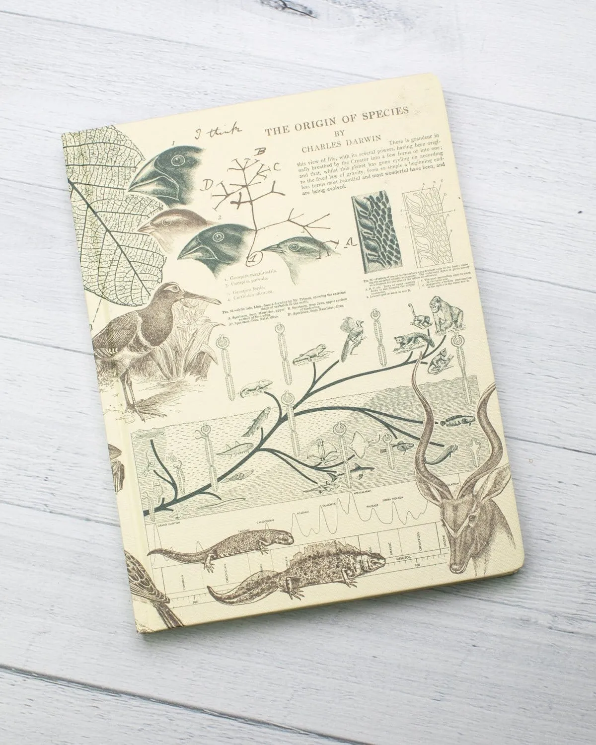 Evolution Hardcover Notebook - Dot Grid