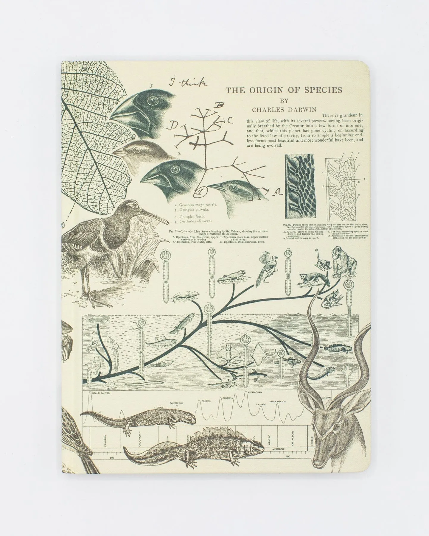 Evolution Hardcover Notebook - Dot Grid