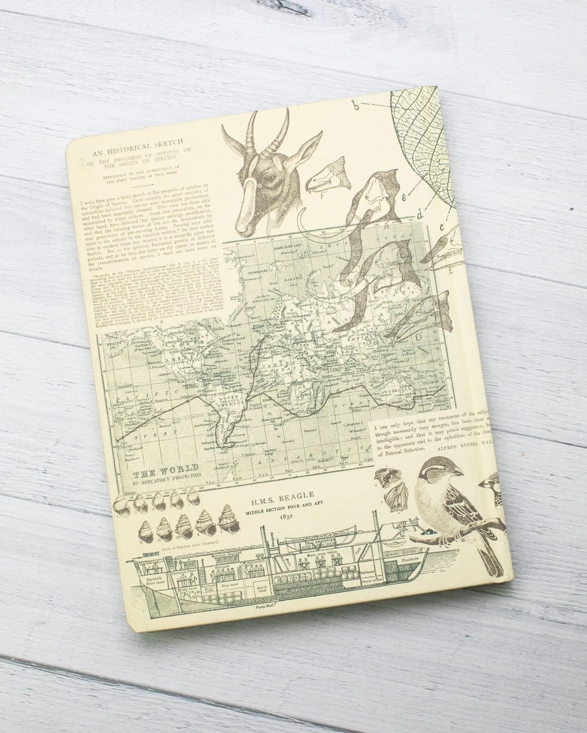 Evolution Hardcover Notebook - Dot Grid