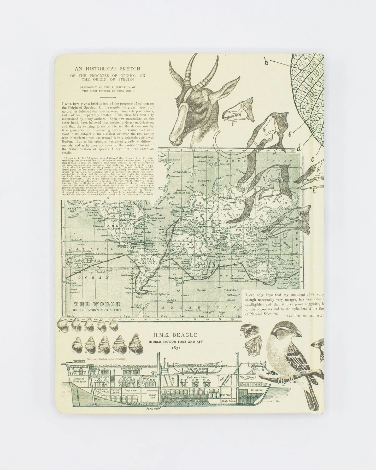Evolution Hardcover Notebook - Dot Grid