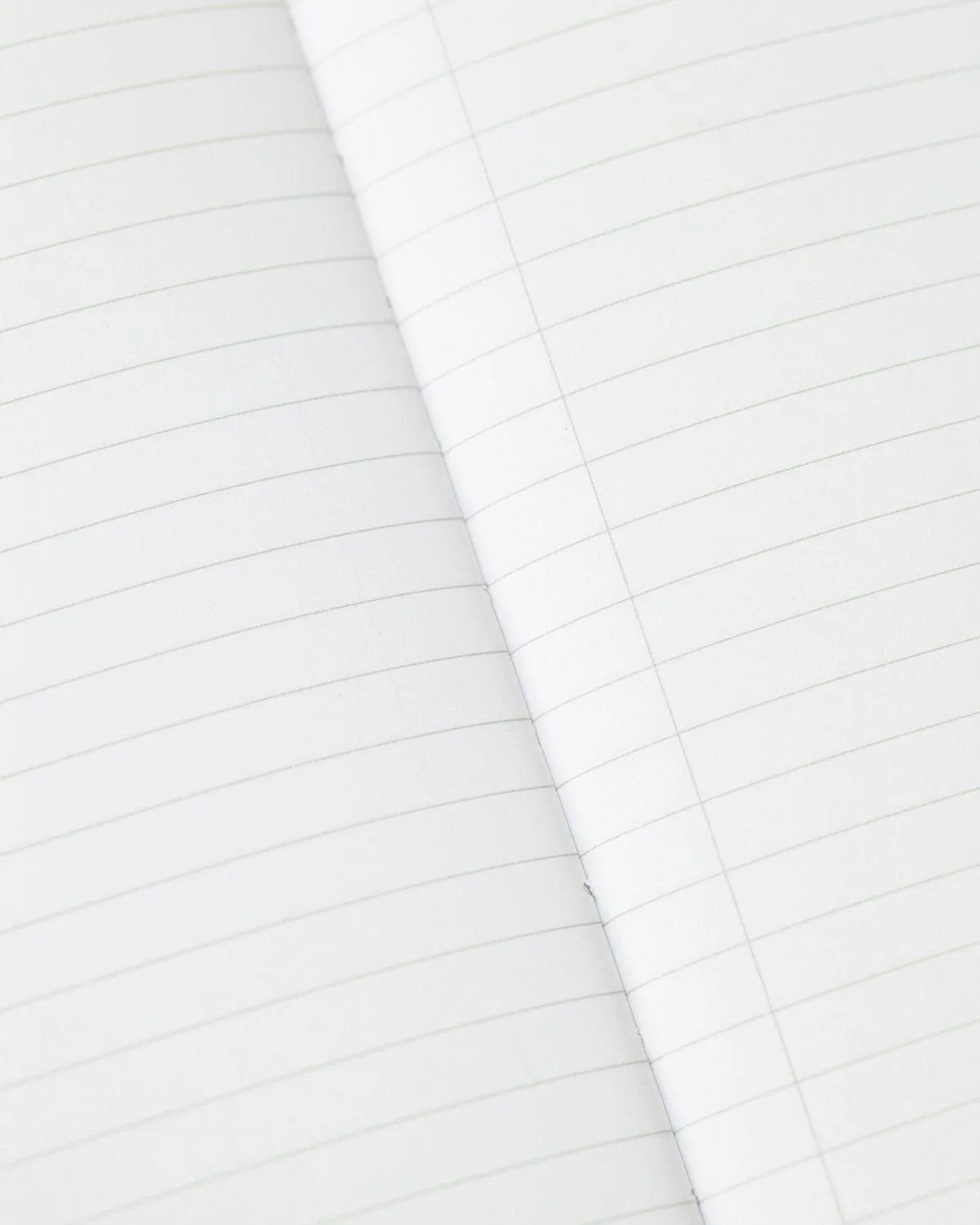 Evolution Softcover Notebook - Lined