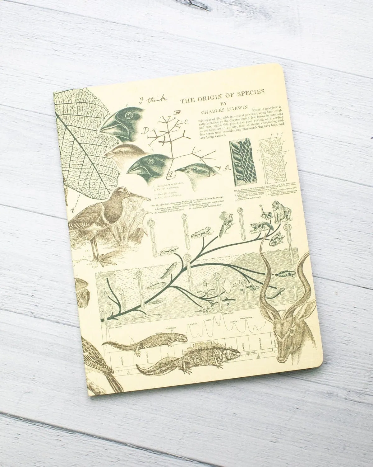 Evolution Softcover Notebook - Lined