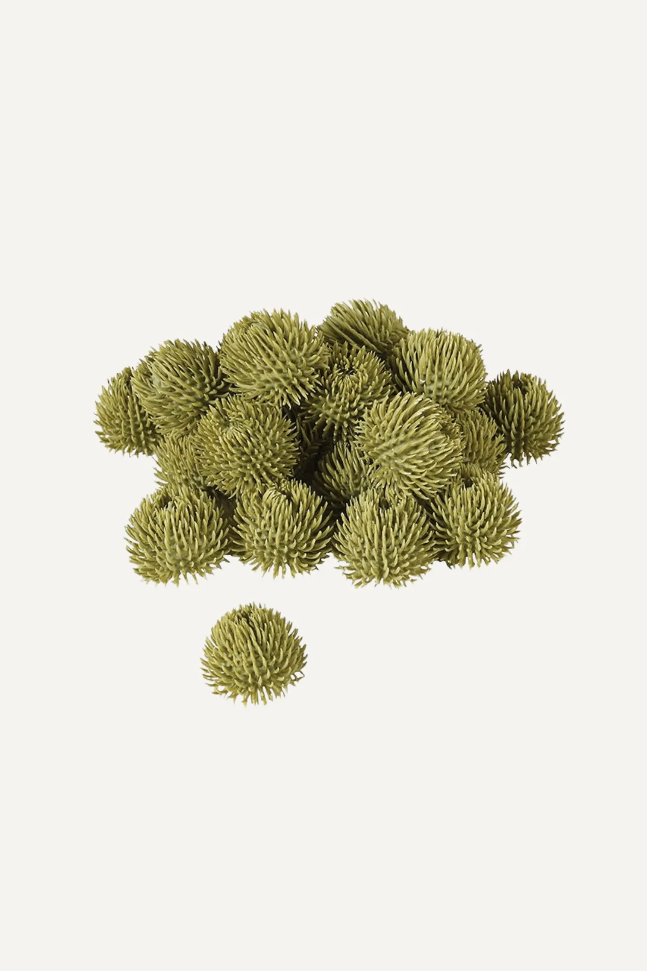 Green Echinops Balls | Bag of 24